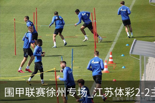 围甲联赛徐州专场 江苏体彩2-2主将负重庆坎济
